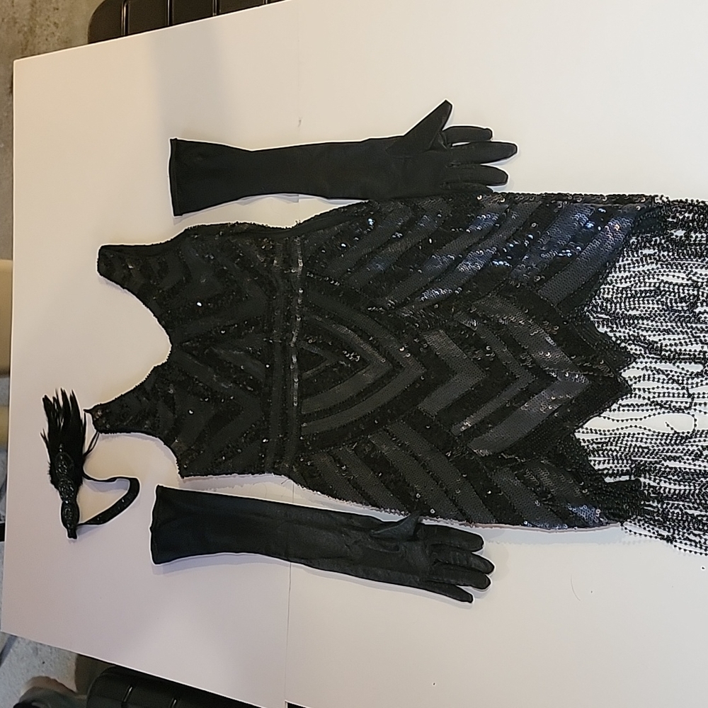 Roaring 20s Vintage Flapper Gatsby Party Prom Dress w Gloves & Headband Costume